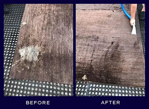Before and After Rug Clean Rug cleaning before and after comparison image.