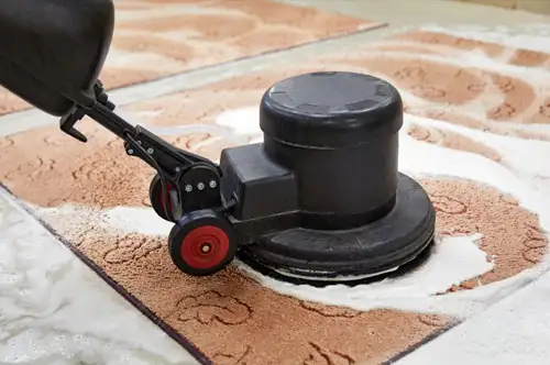Photo of an industrial rug cleaner